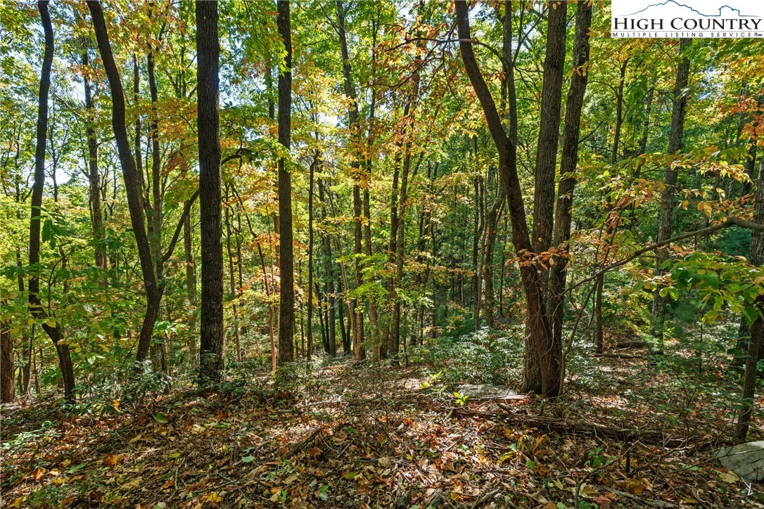 Image number 3 for the current listing