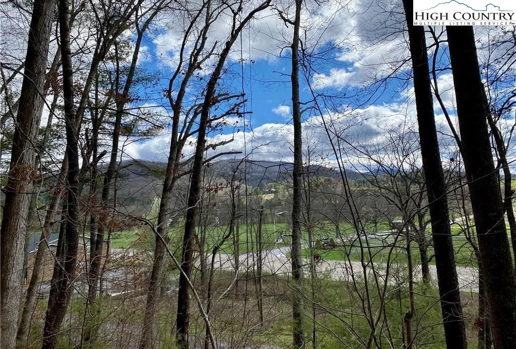 Image number 1 for the current listing