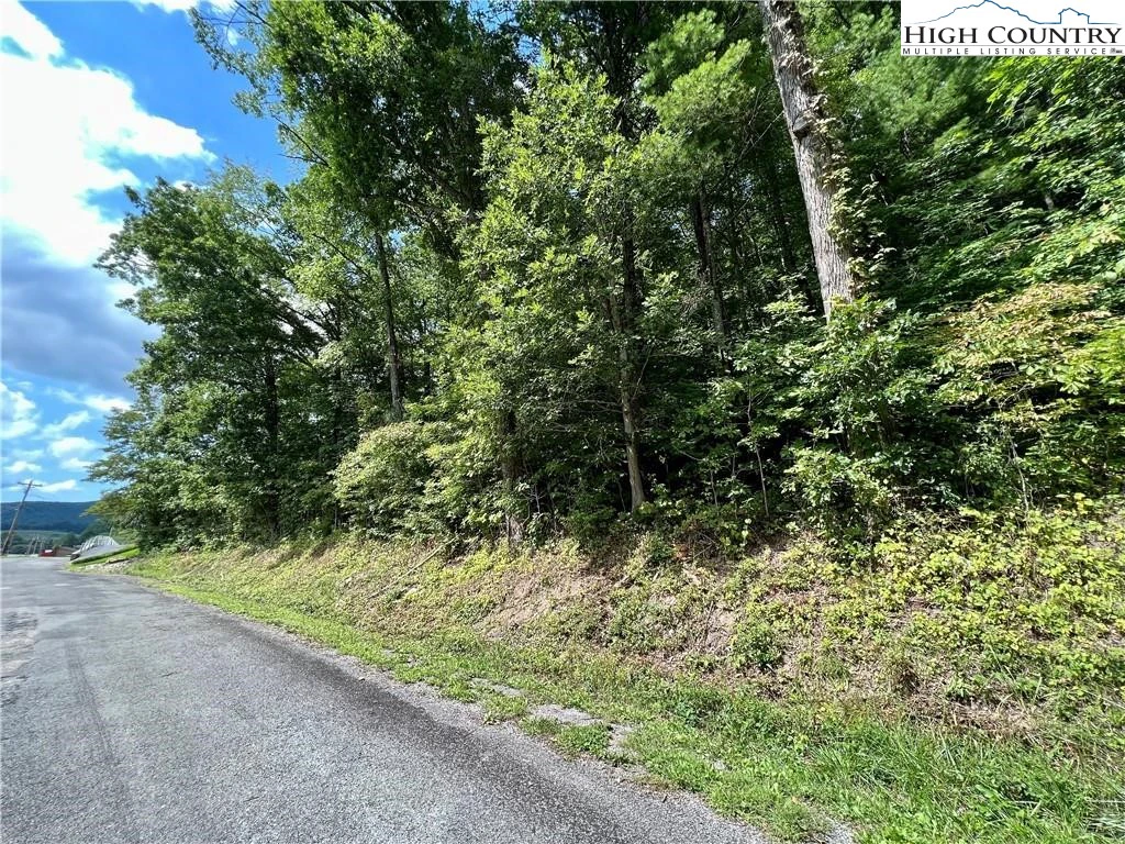 Image number 3 for the current listing