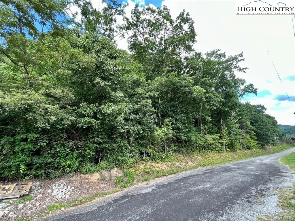 Image number 5 for the current listing