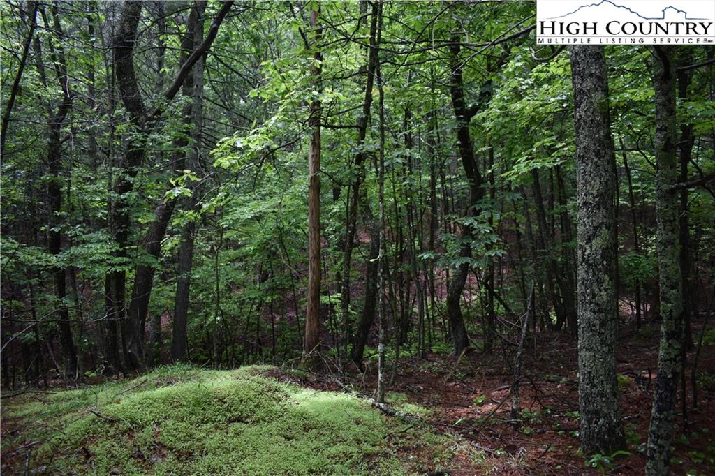 Image number 13 for the current listing