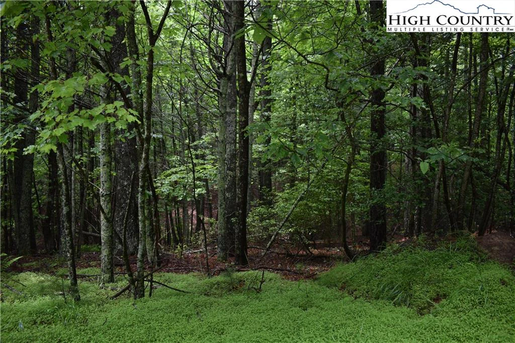 Image number 14 for the current listing