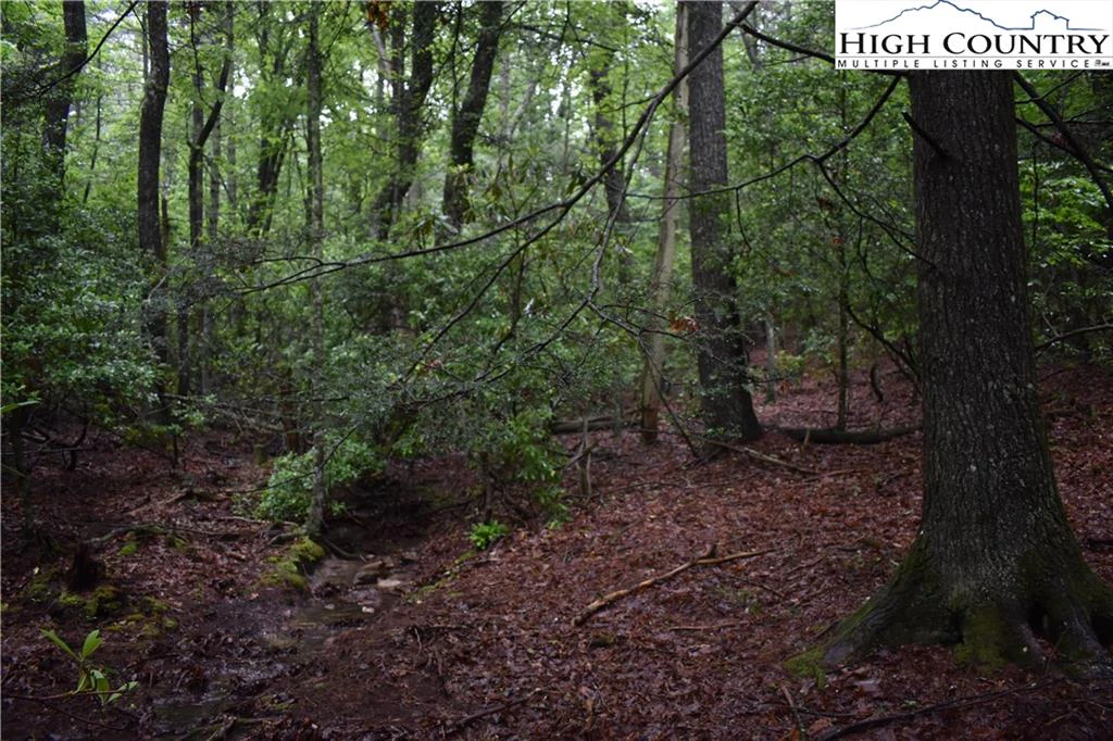 Image number 6 for the current listing