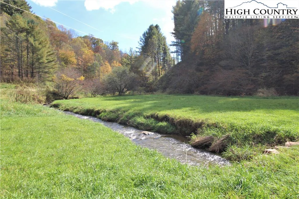 Image number 1 for the current listing