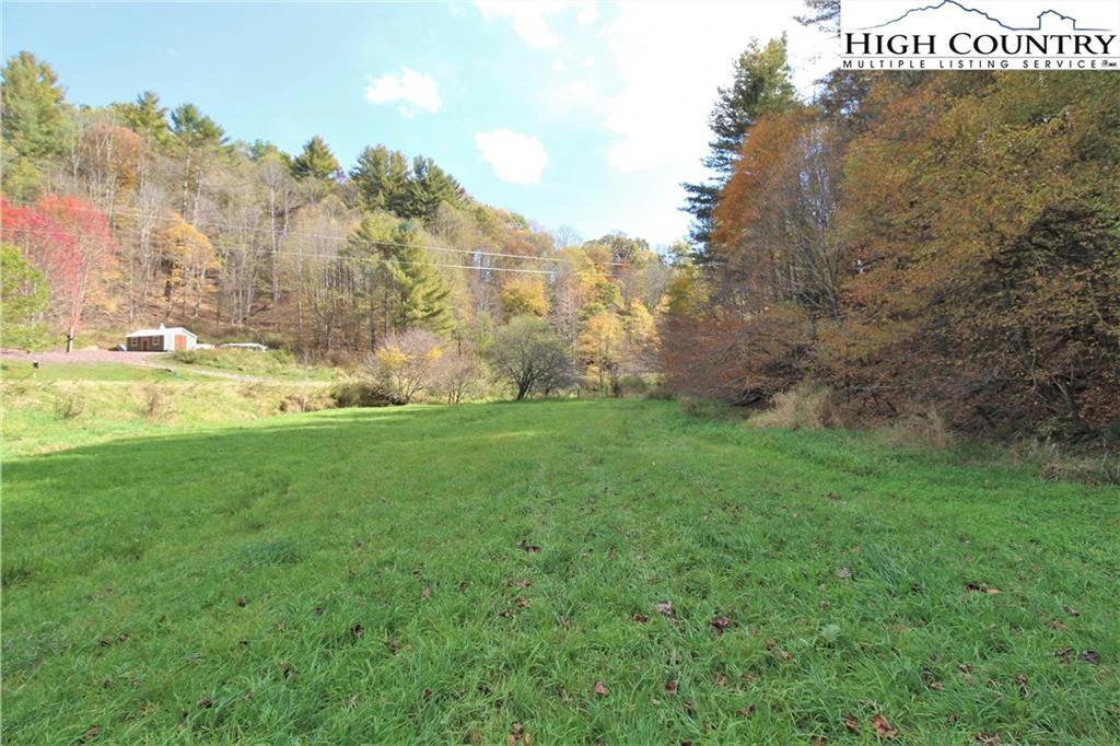 Image number 4 for the current listing