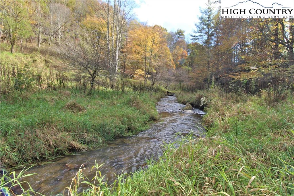 Image number 6 for the current listing