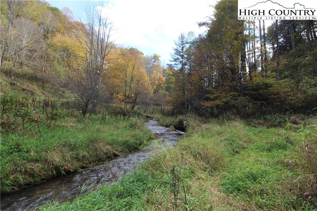 Image number 7 for the current listing