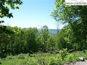 Image number 1 for the current listing