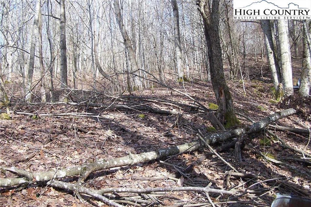 Image number 11 for the current listing