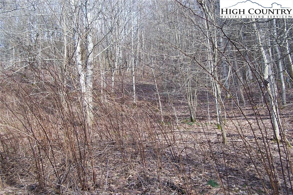 Image number 13 for the current listing