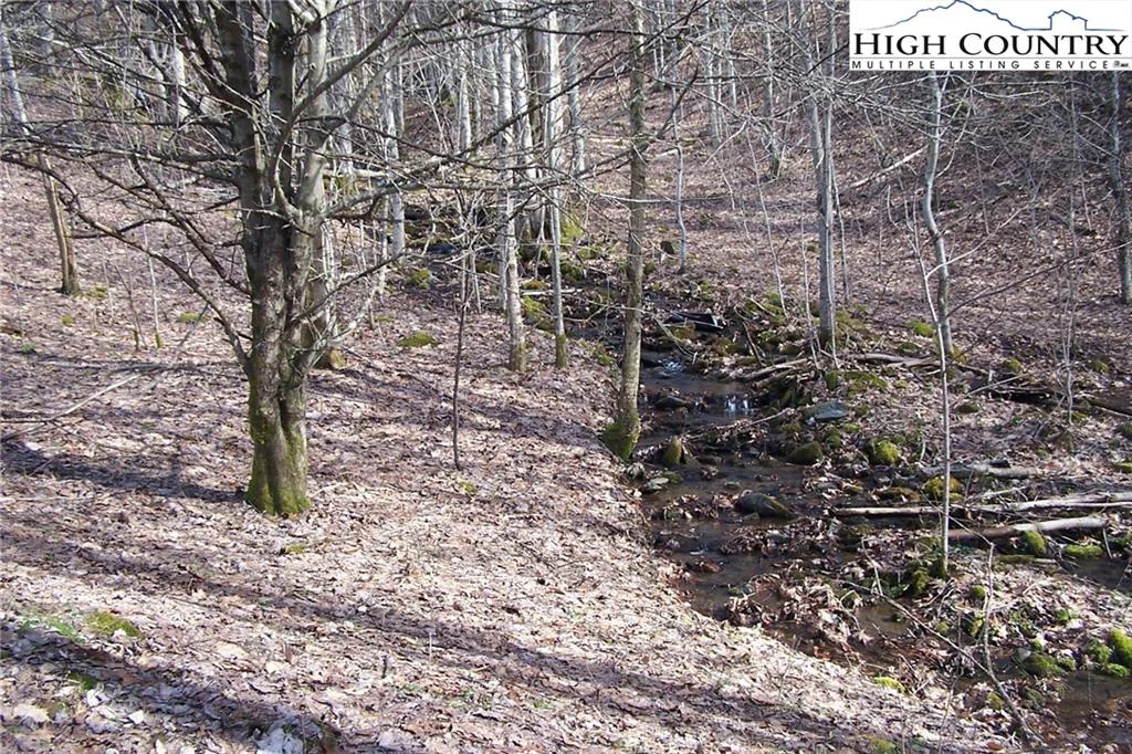 Image number 14 for the current listing