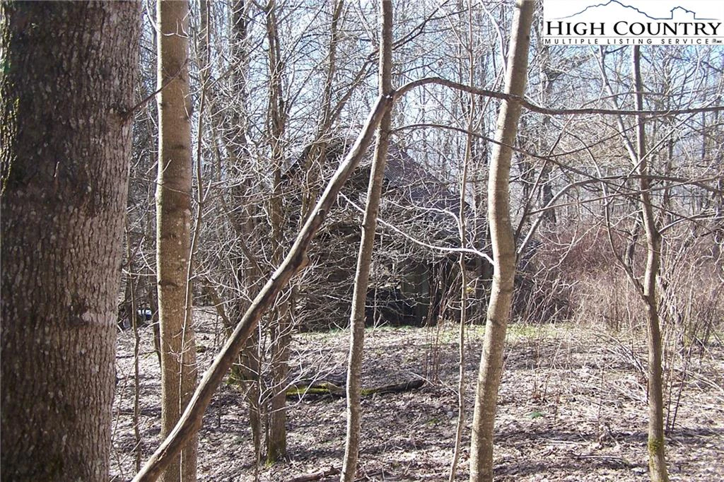 Image number 3 for the current listing