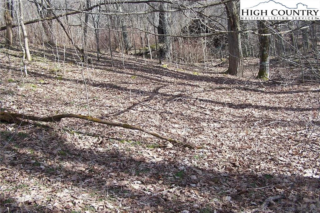 Image number 6 for the current listing