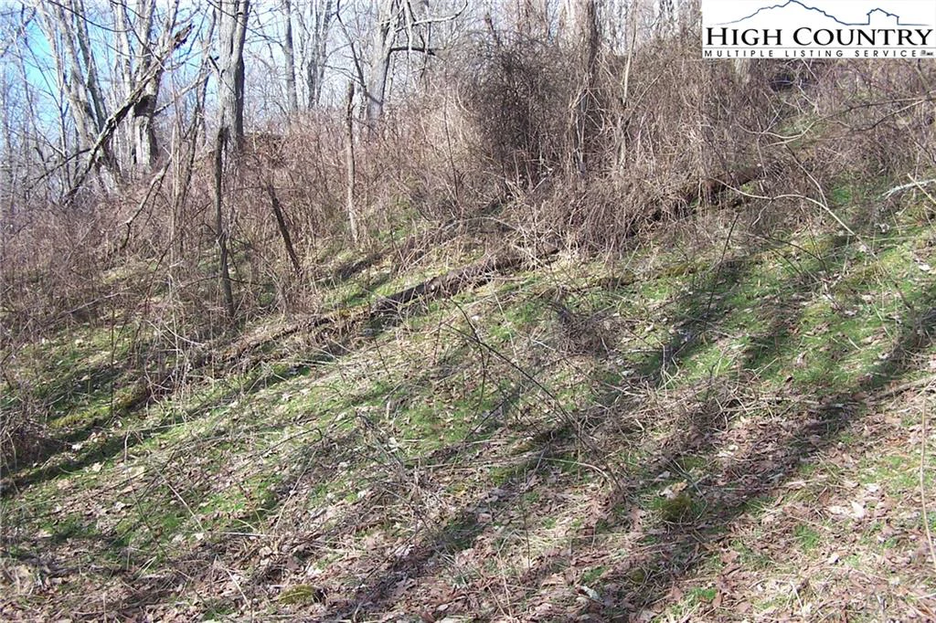 Image number 7 for the current listing