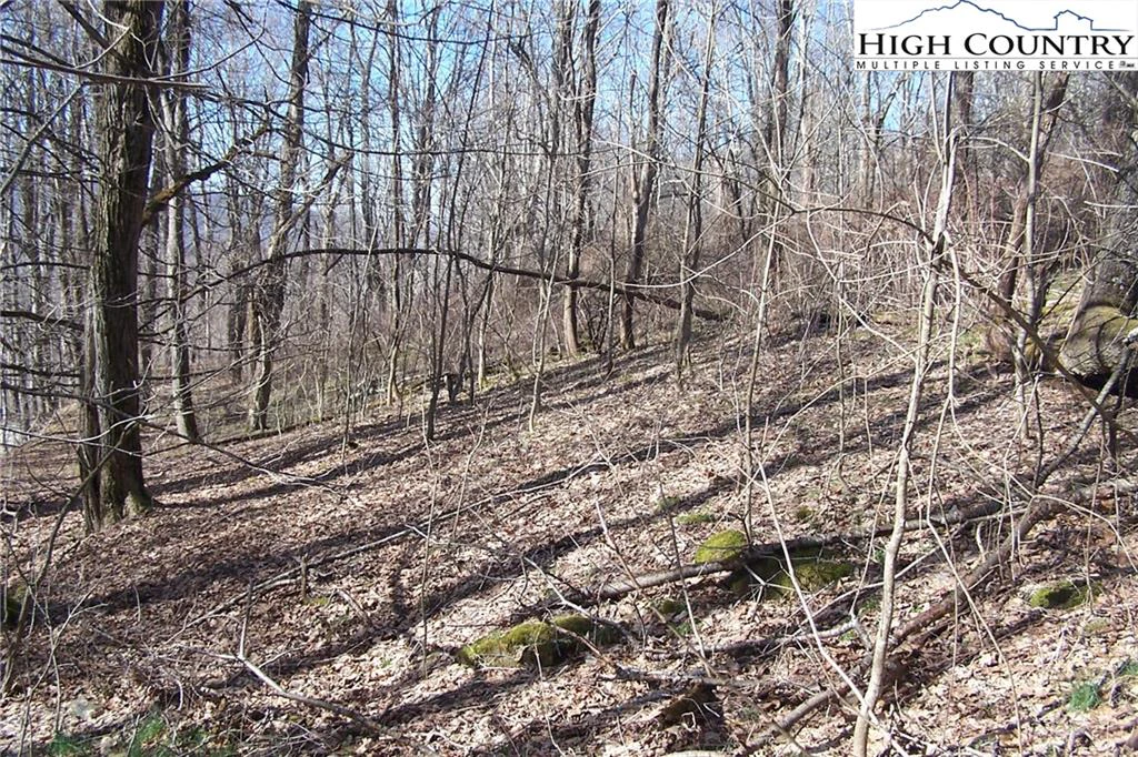 Image number 8 for the current listing