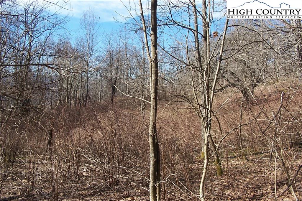 Image number 9 for the current listing