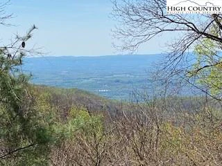 Image number 1 for the current listing