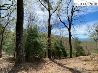 Image number 8 for the current listing