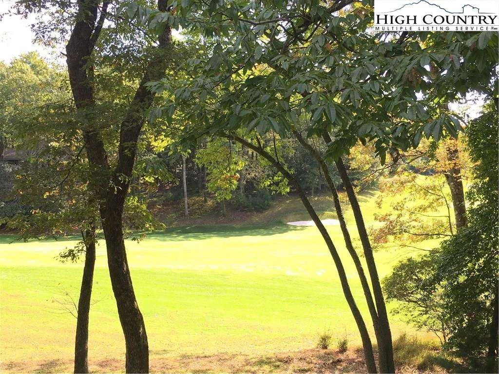 Image number 4 for the current listing