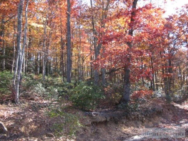 Image number 1 for the current listing