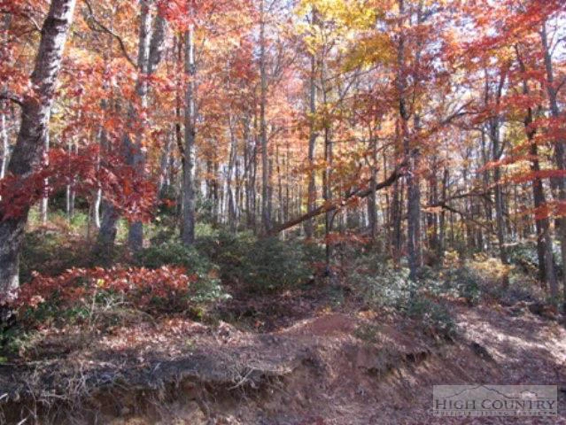 Image number 3 for the current listing