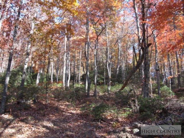 Image number 4 for the current listing