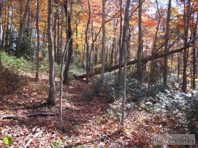 Image number 5 for the current listing