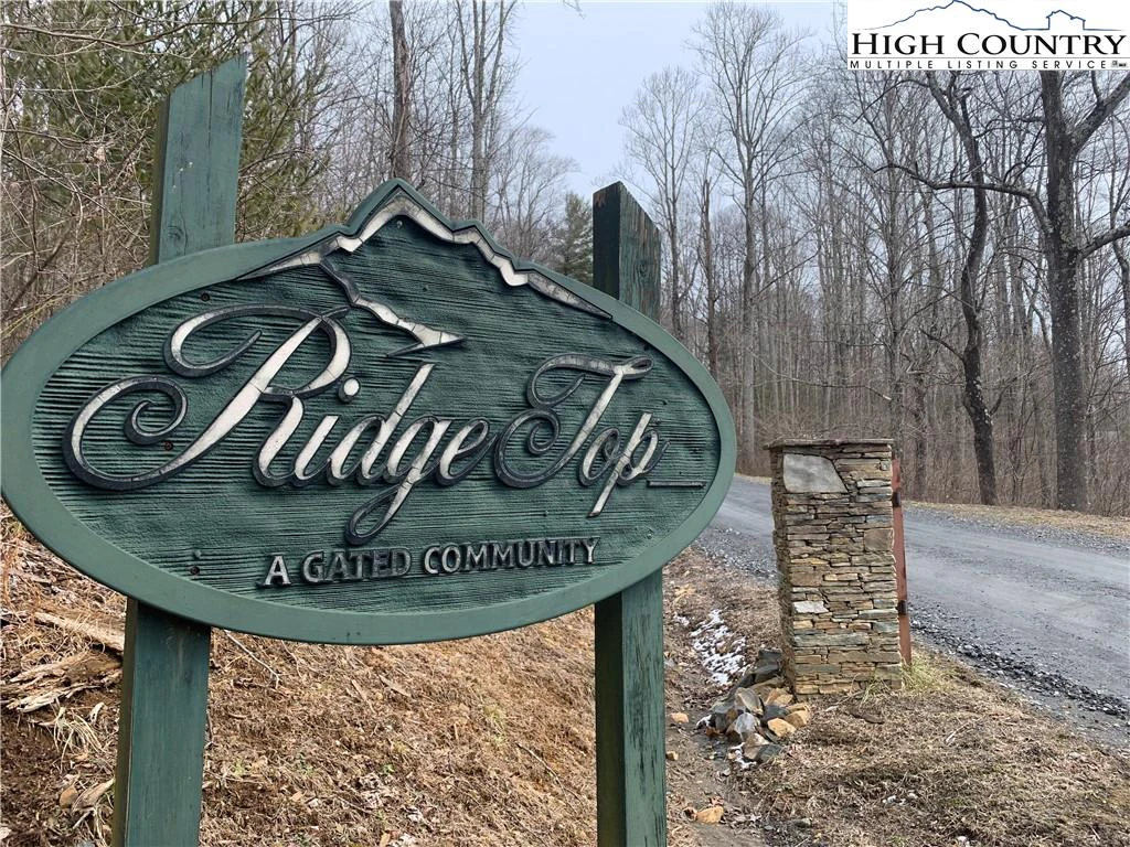 Image number 1 for the current listing