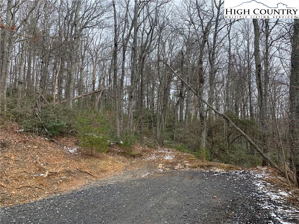 Image number 3 for the current listing