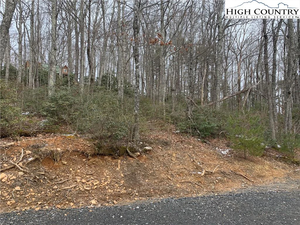 Image number 4 for the current listing