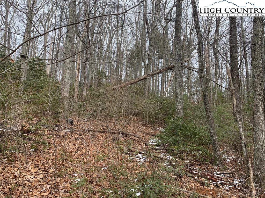 Image number 5 for the current listing