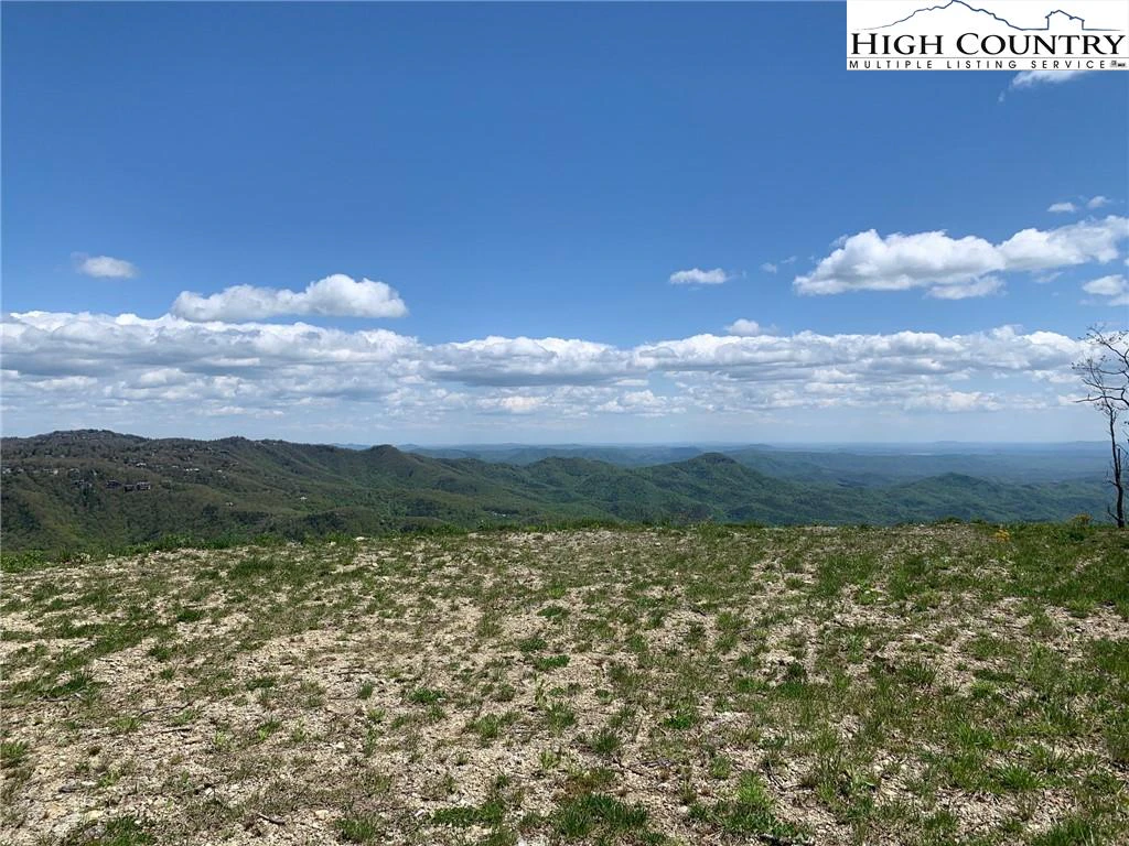 Image number 1 for the current listing