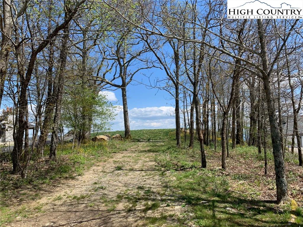 Image number 3 for the current listing