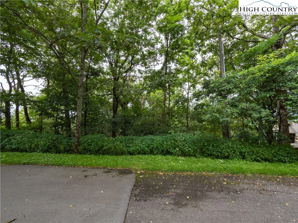 Image number 12 for the current listing