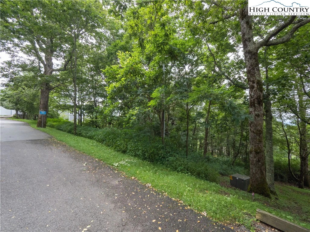 Image number 15 for the current listing