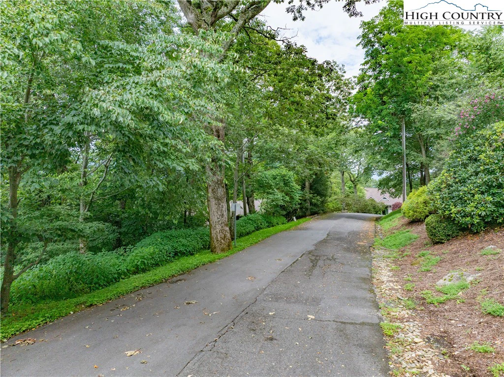 Image number 2 for the current listing