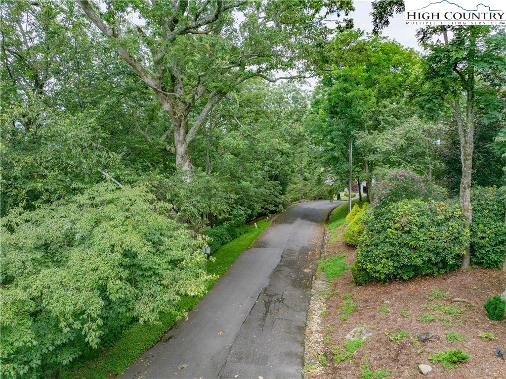 Image number 11 for the current listing