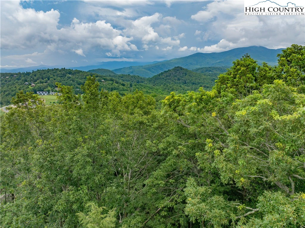 Image number 9 for the current listing