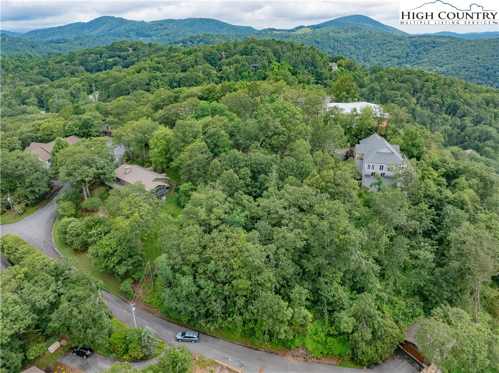 Image number 4 for the current listing