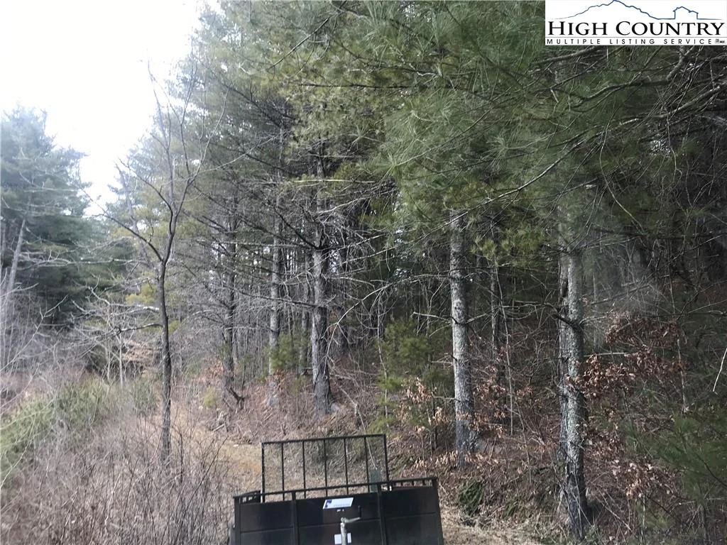 Image number 3 for the current listing