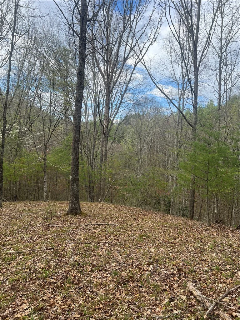 Image number 1 for the current listing