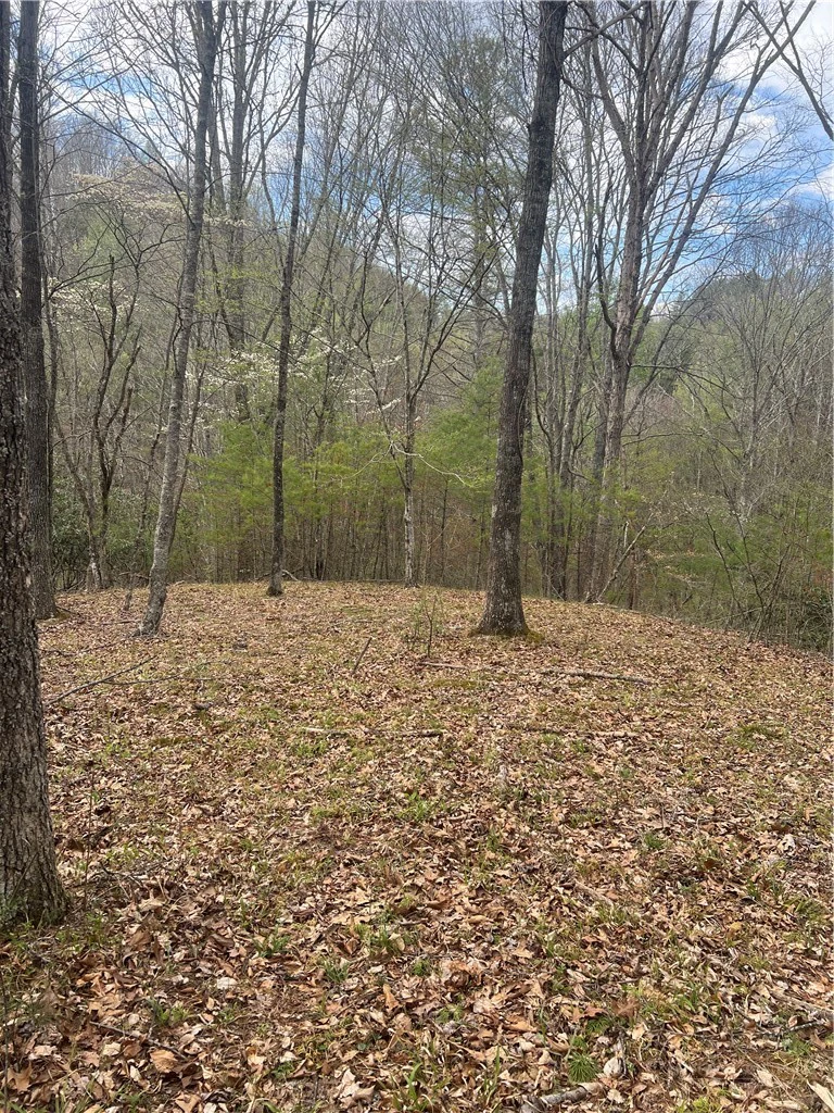 Image number 3 for the current listing