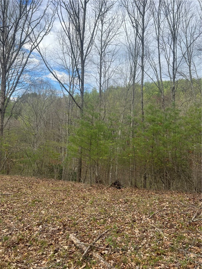 Image number 4 for the current listing
