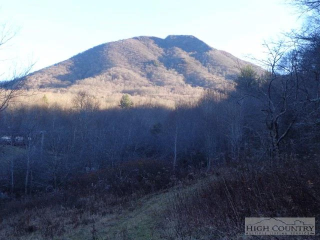 Image number 1 for the current listing