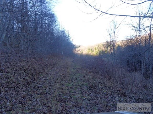 Image number 4 for the current listing
