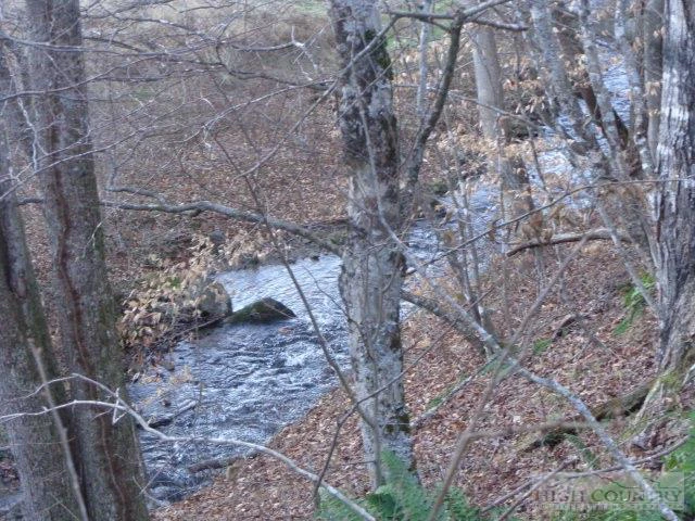 Image number 5 for the current listing