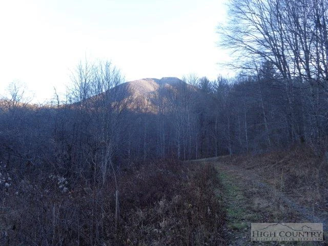 Image number 8 for the current listing