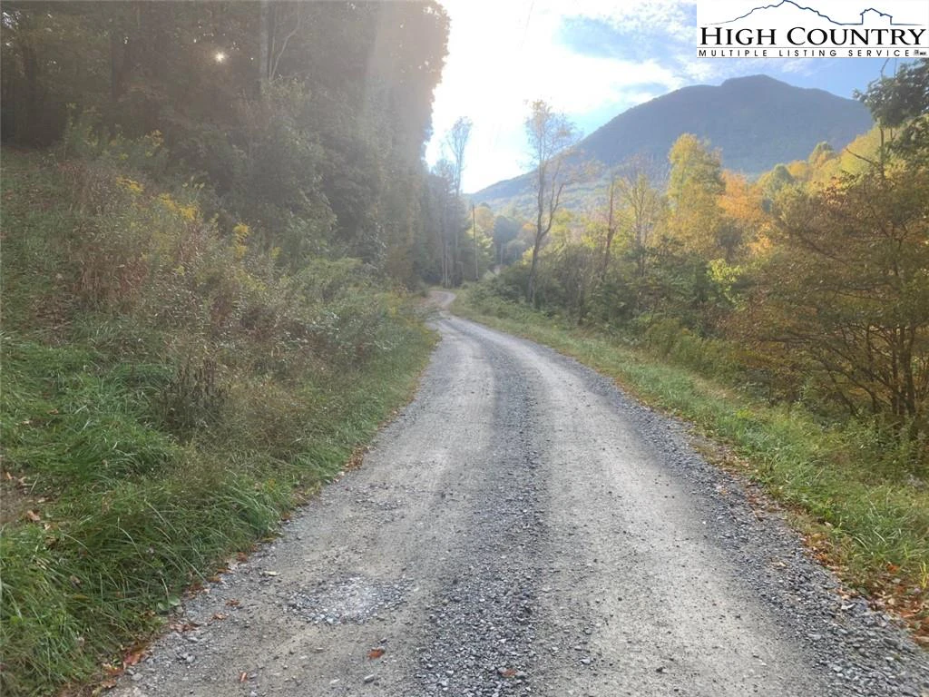 Image number 4 for the current listing
