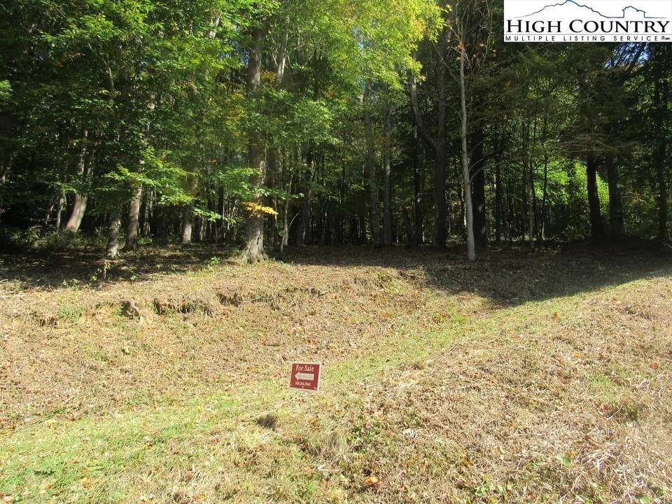 Image number 5 for the current listing