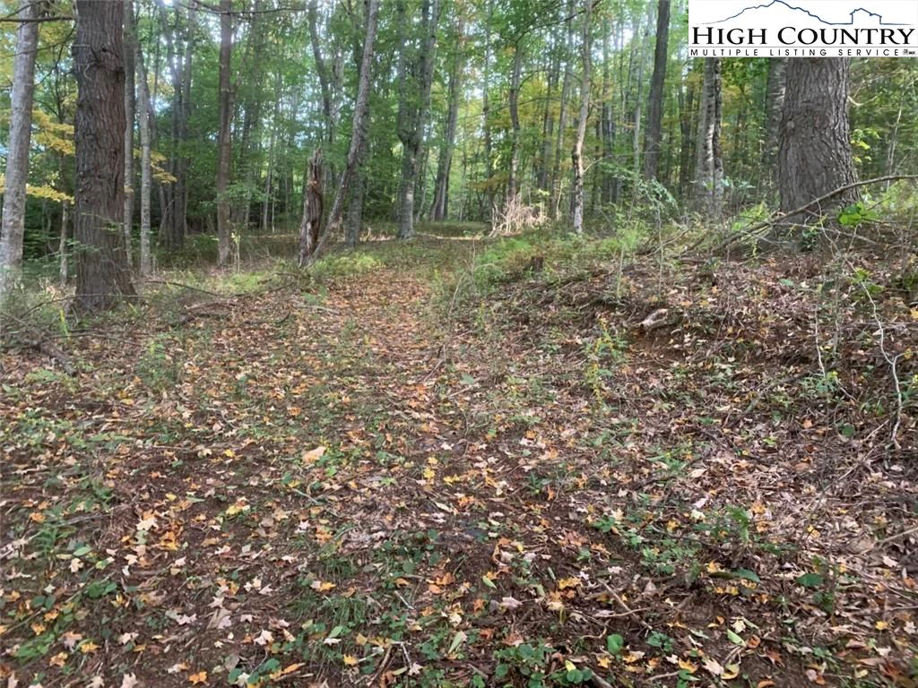 Image number 6 for the current listing